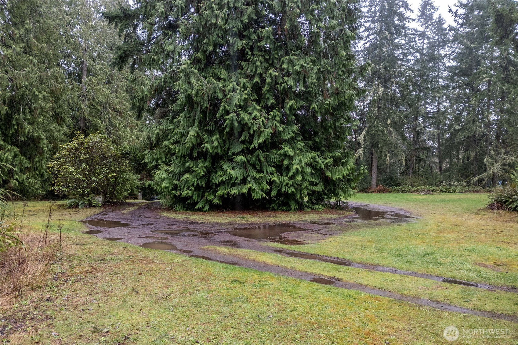 4692 Northeast Lincoln Road Poulsbo, WA 98370 - Photo 19 of 22 a view of a yard with a tree