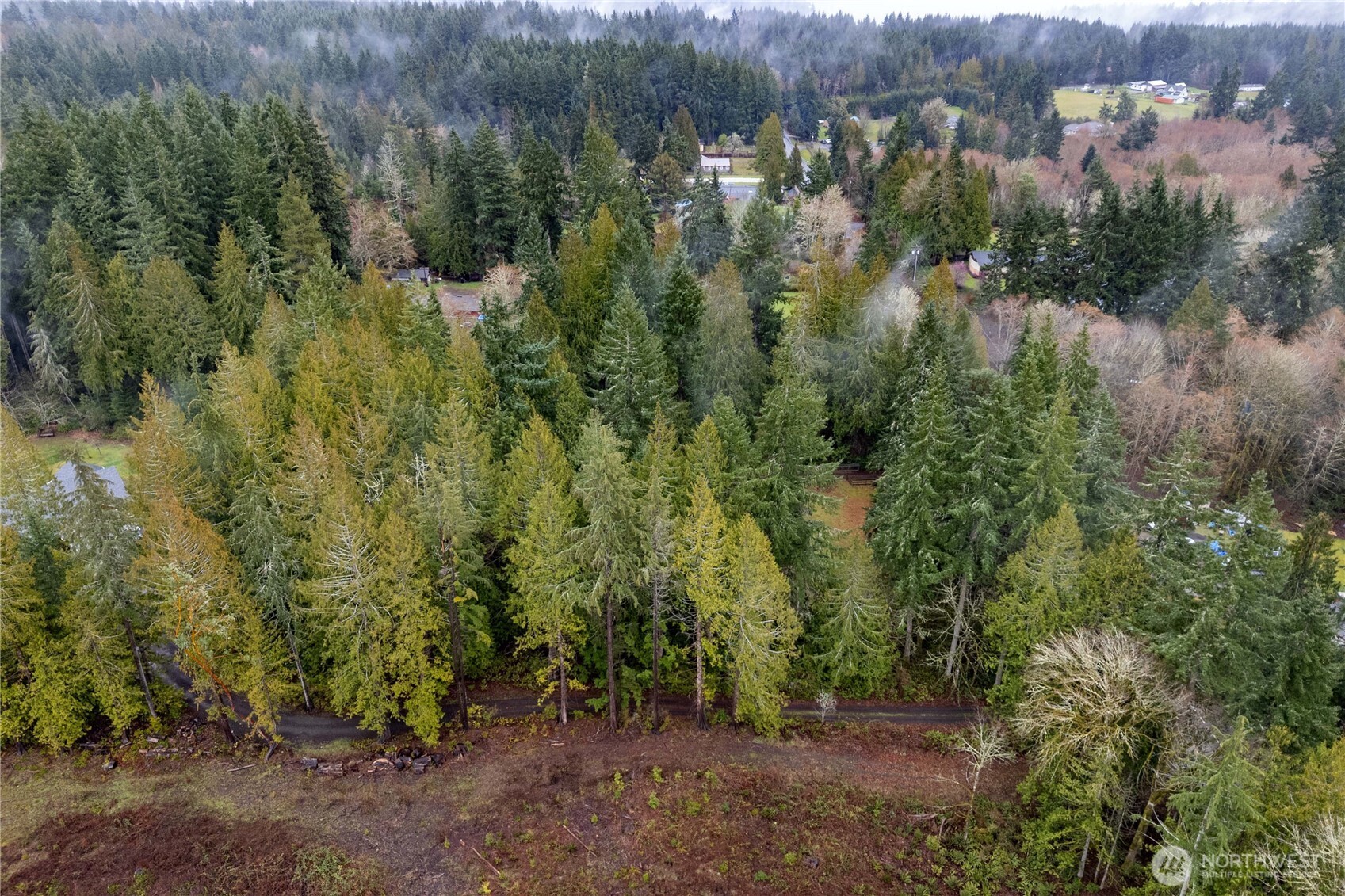 4692 Northeast Lincoln Road Poulsbo, WA 98370 - Photo 22 of 22 a view of a forest with a forest