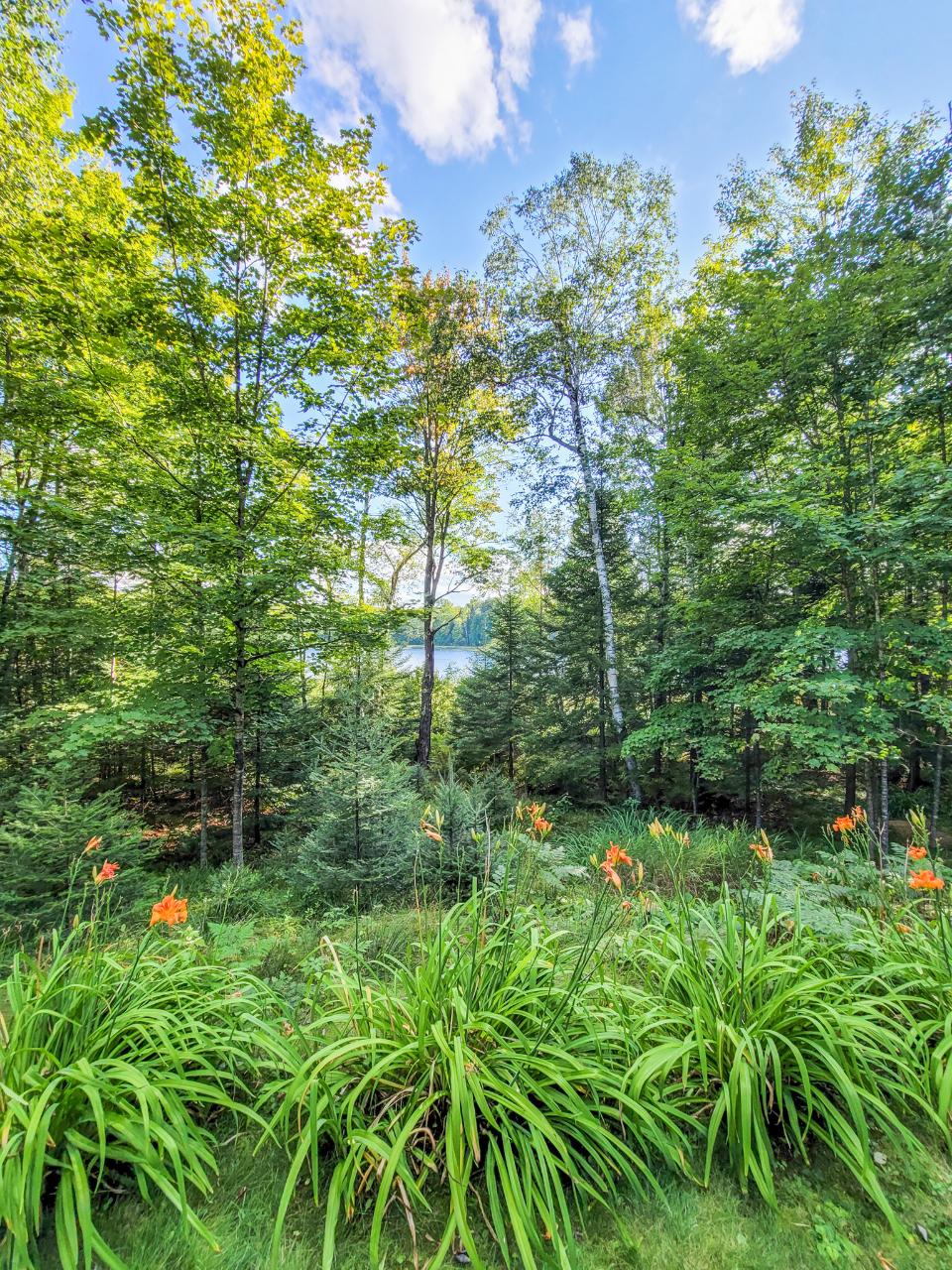 9489 Beaver Road Presque Isle, WI 54557 - Photo 45 of 62 Gallery Image 45