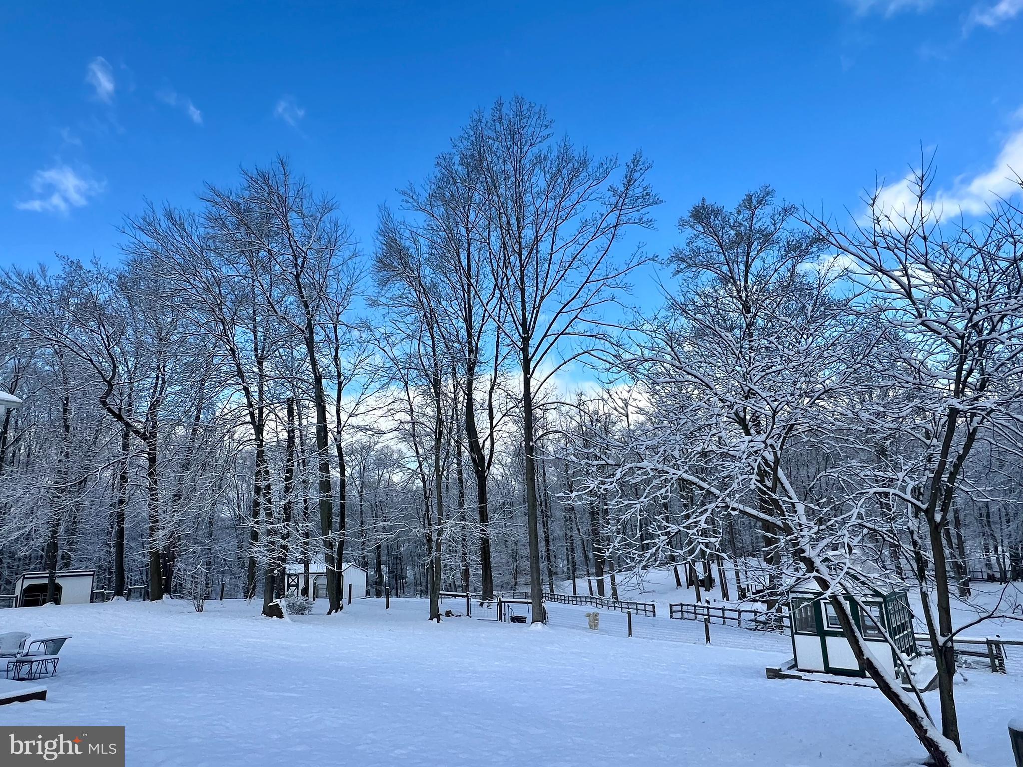 16250 Whitehaven Road Silver Spring, MD 20906 - Photo 58 of 87 Scenic snowy vistas