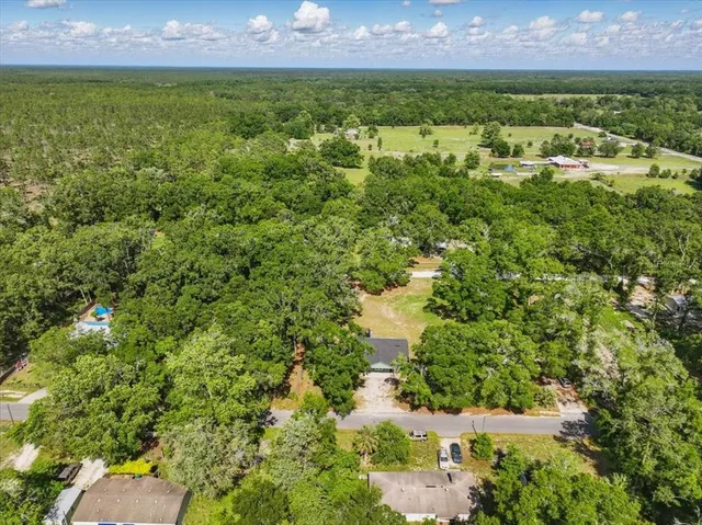 a view of a yard with plants