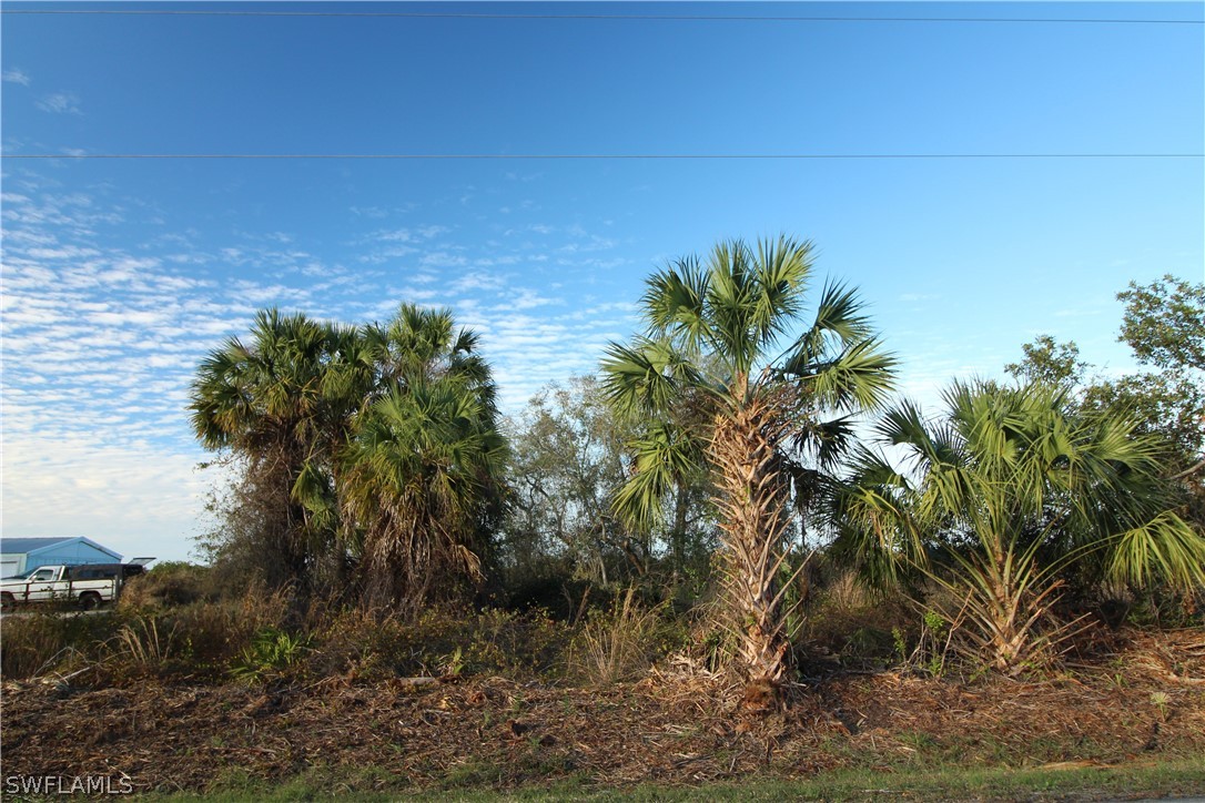 29084 Boyce Road Punta Gorda, FL 33982 - Photo 12 of 22 Gallery Image 12