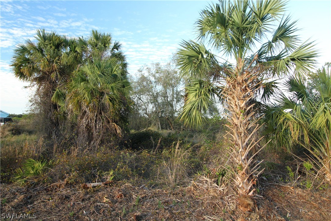 29084 Boyce Road Punta Gorda, FL 33982 - Photo 21 of 22 Gallery Image 21