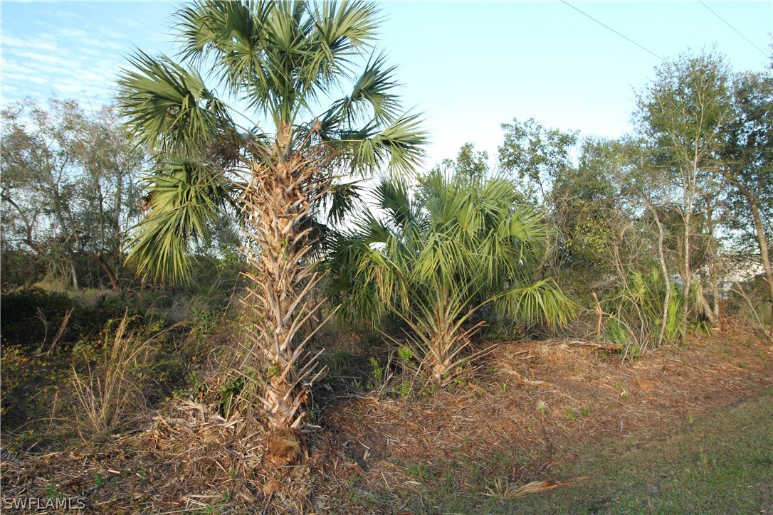 29084 Boyce Road Punta Gorda, FL 33982 - Photo 22 of 22 Gallery Image 22