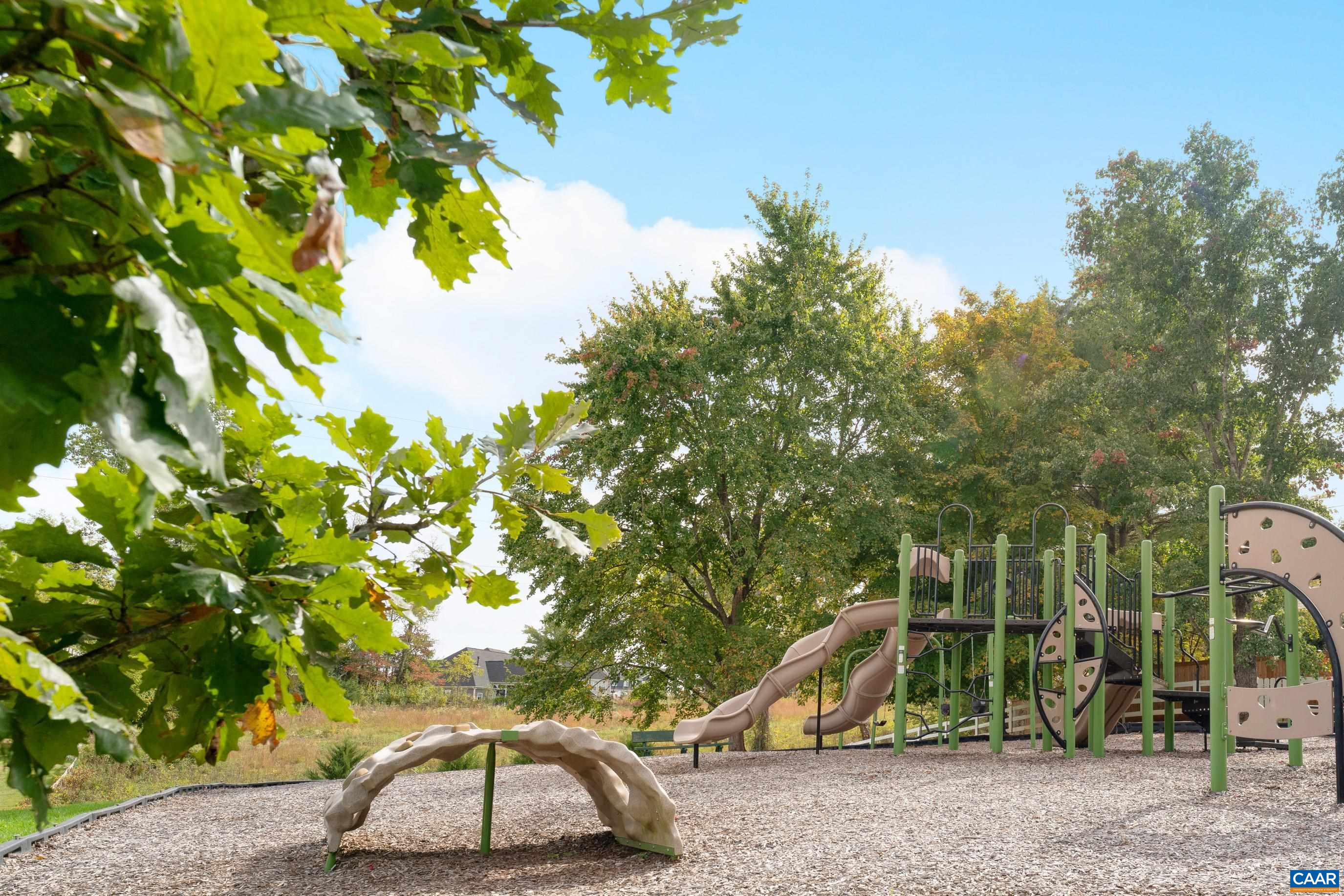 960 Canvas Back Drive Charlottesville, VA 22903 - Photo 62 of 66