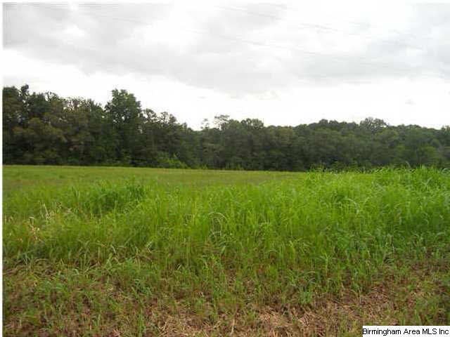 Wilson Chapel Road Oneonta, AL 35121 - Photo 1 of 2