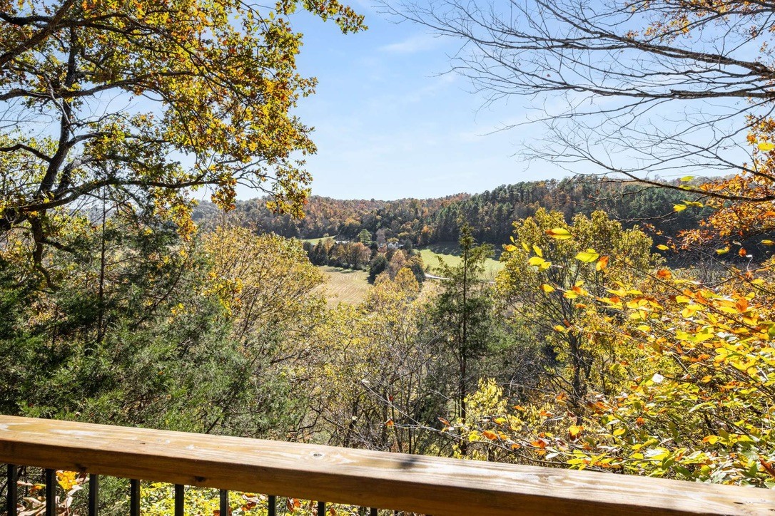 9467 Little East Fork Road Franklin, TN 37064 - Photo 26 of 26 a view of mountain view from a window