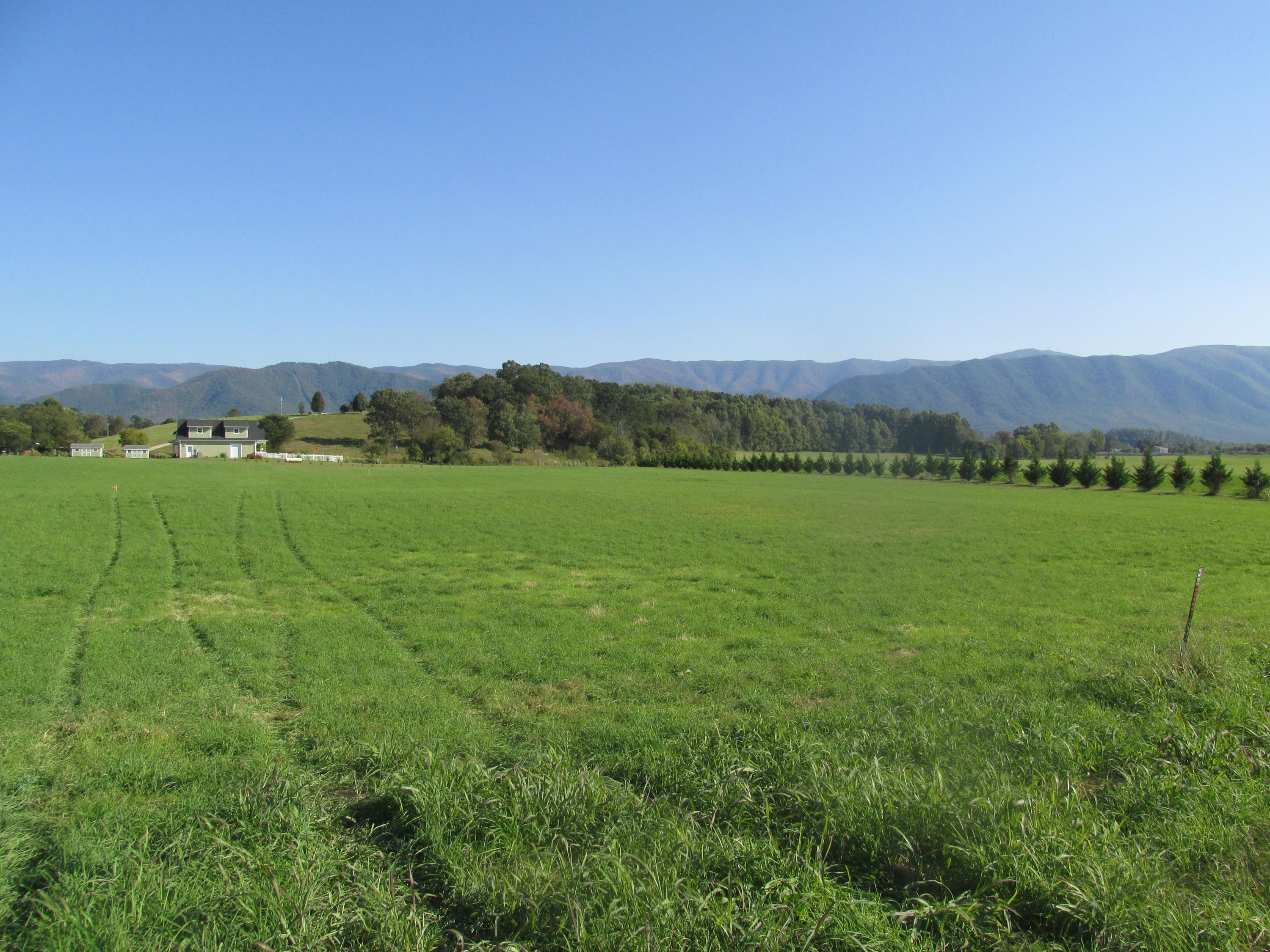 Tbd Tbd Sentelle Road Greeneville, TN 37743 - Photo 3 of 4 062