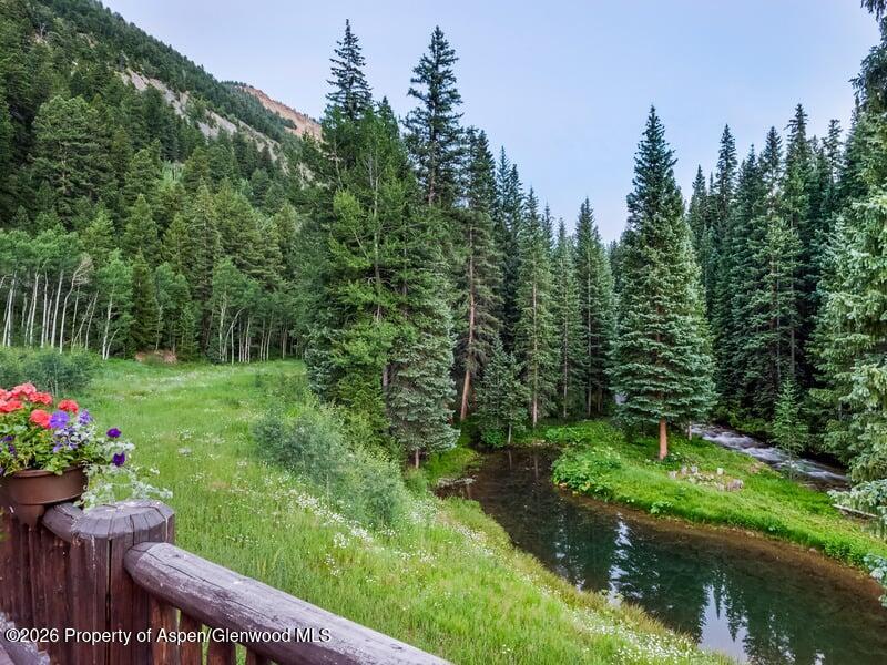 27-33 Fall Creek Road Aspen, CO 81612 - Photo 12 of 27 33FallCreek_WEB015