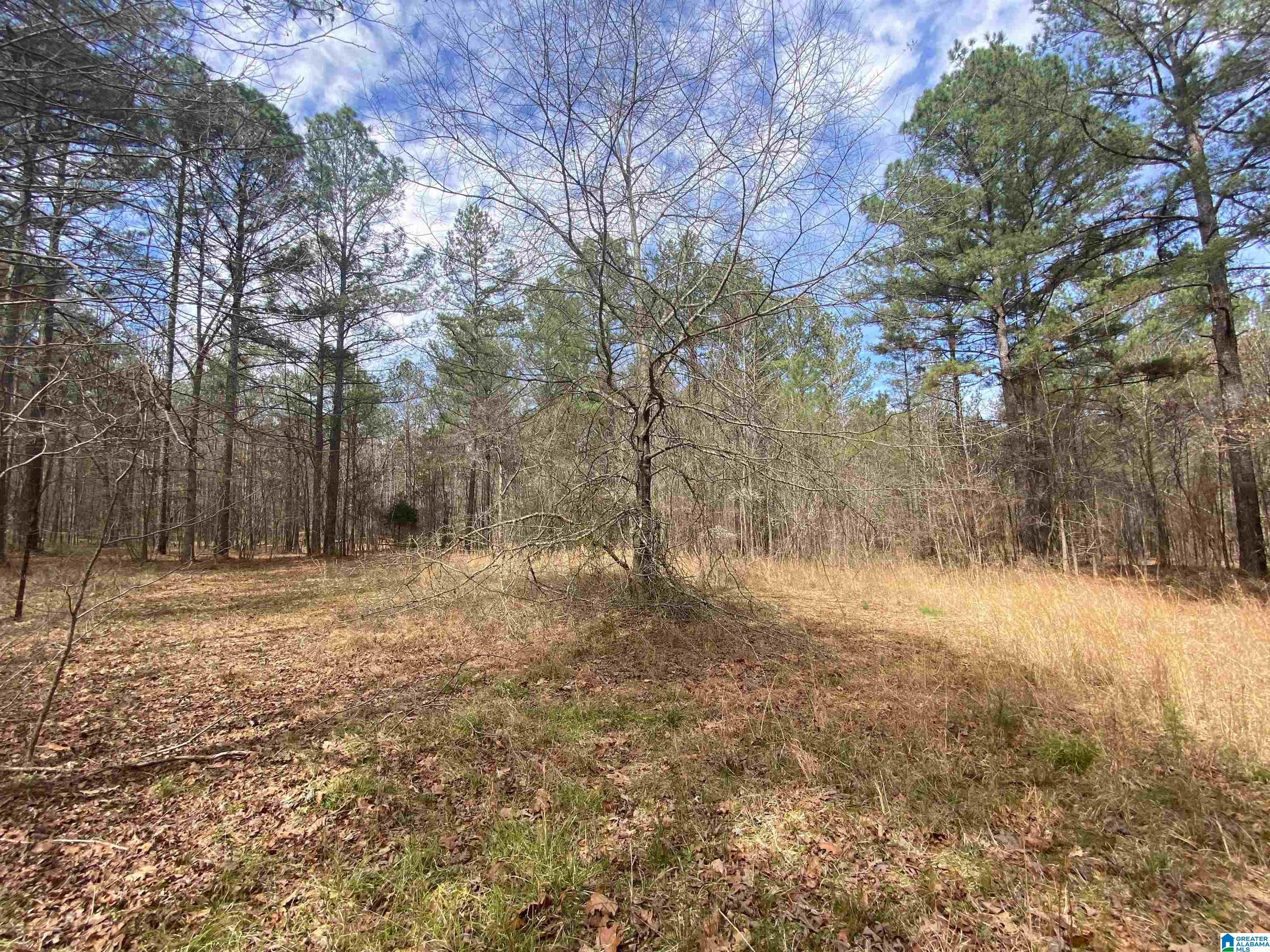Springs Lane, Unit 12 Springville, AL 35146 - Photo 4 of 26