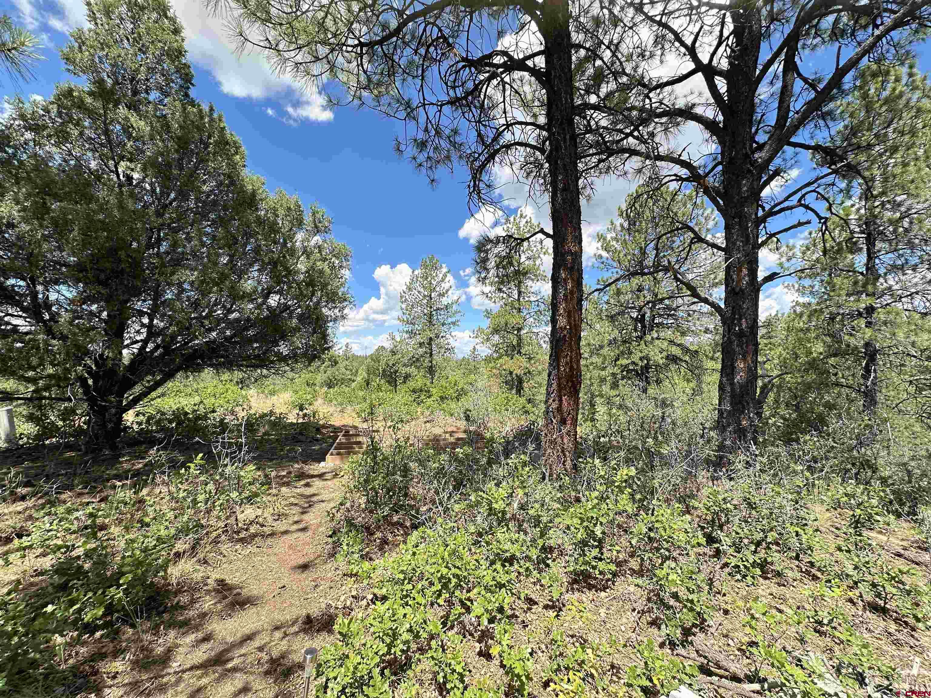 121 Engineer Point Pagosa Springs, CO 81147 - Photo 14 of 43