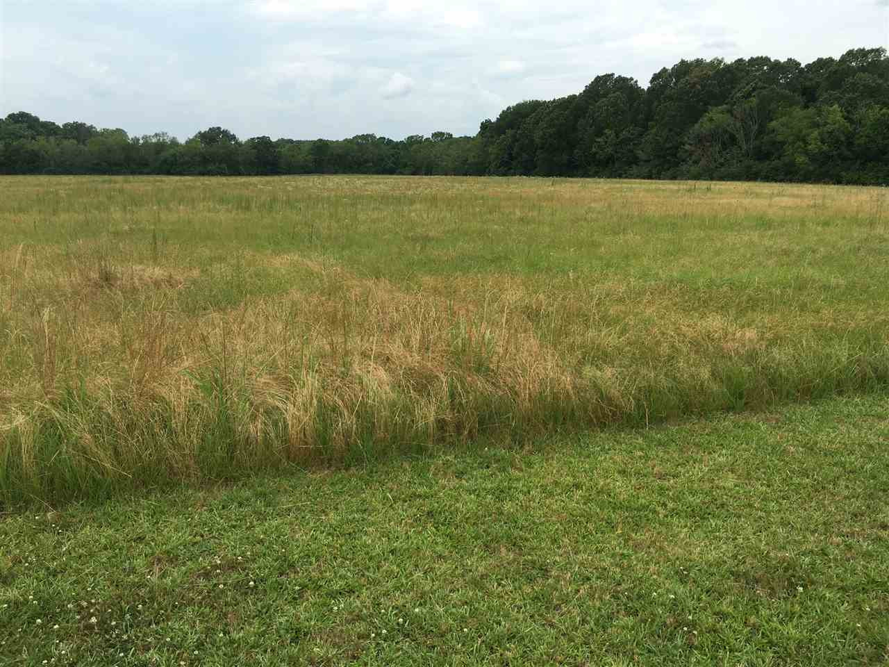 0 Sharon Road, Unit LOT 13 SUMMERFIELD FARMS Canton, MS 39046 - Photo 1 of 5 Photo 1