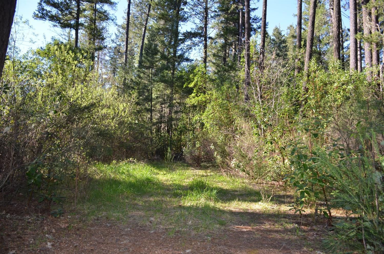 0 Glendon Road Kerby, OR 97531 - Photo 2 of 3 Additional Photo