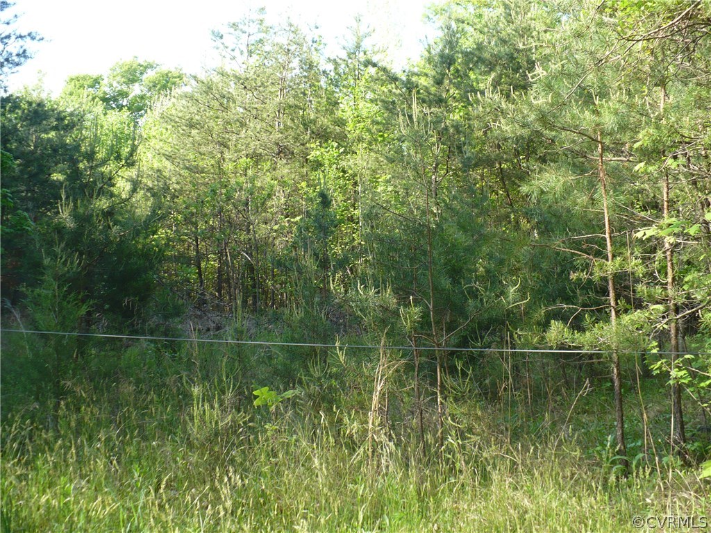 0 Jackson Road Bumpass, VA 23024 - Photo 3 of 6