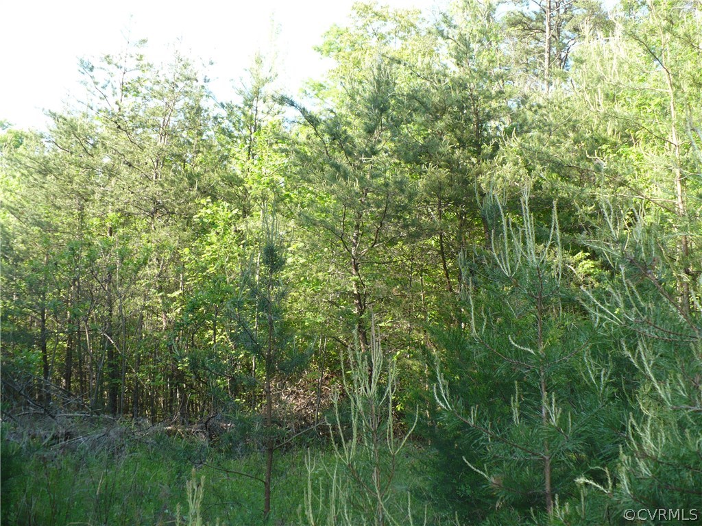 0 Jackson Road Bumpass, VA 23024 - Photo 4 of 6