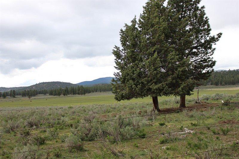 30515 Godowa Springs Road Beatty, OR 97621 - Photo 18 of 23 Additional Photo