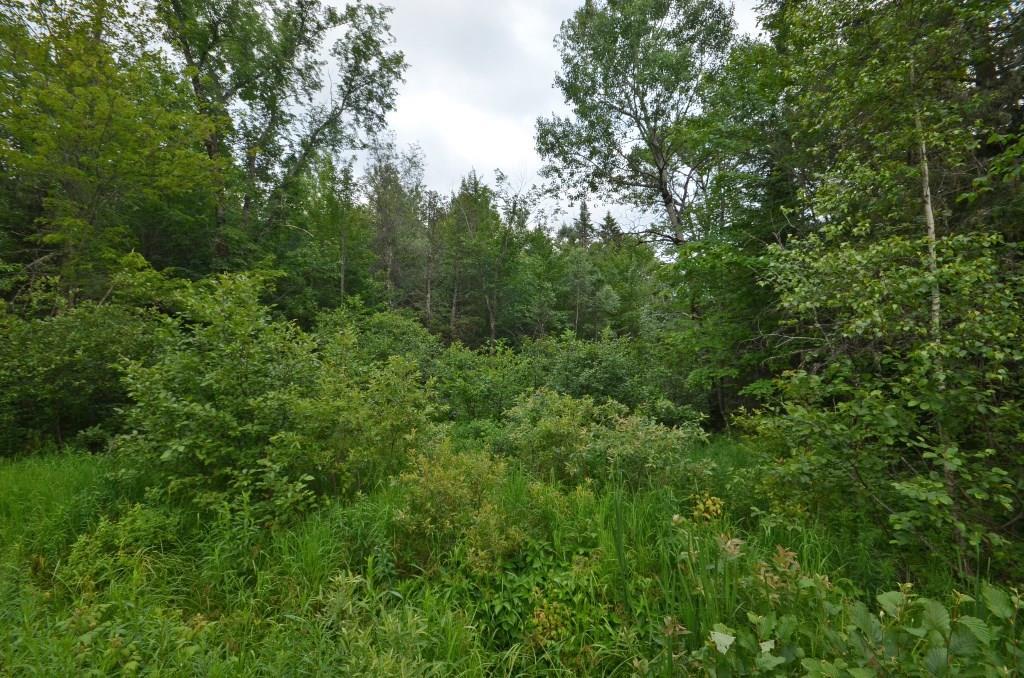 2 Old King Road Springfield, ME 04487 - Photo 4 of 7 Maine Land for Sale in Springfield Maine
