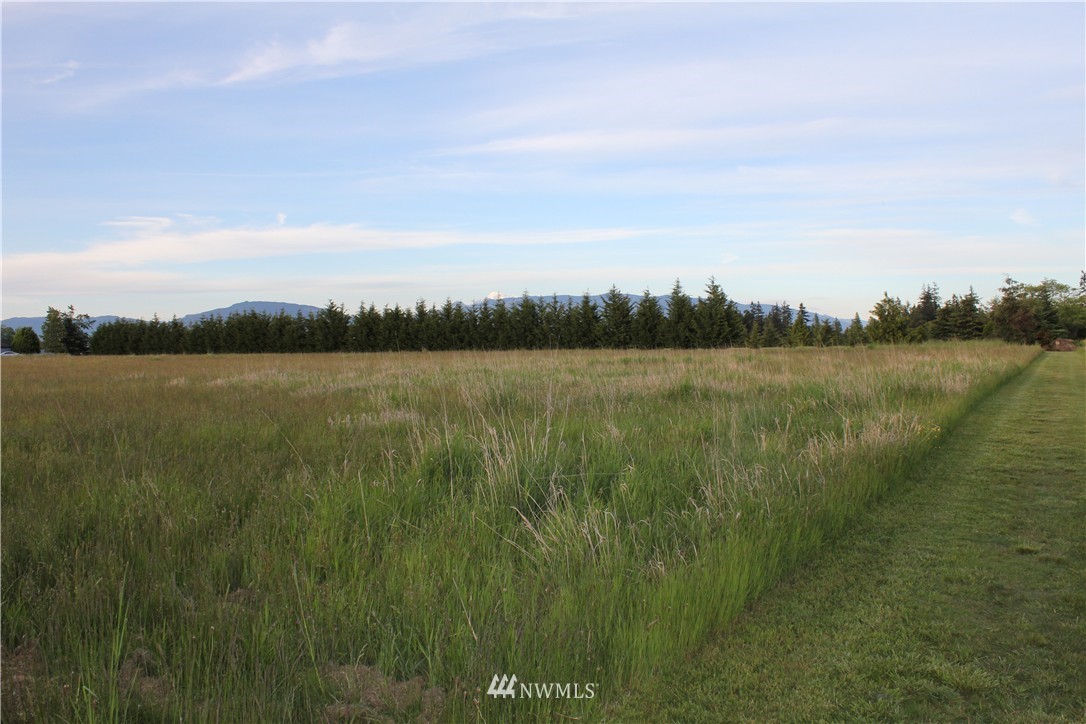 0 Windy Ridge Lane Bow, WA 98232 - Photo 4 of 14 Gallery Image 4