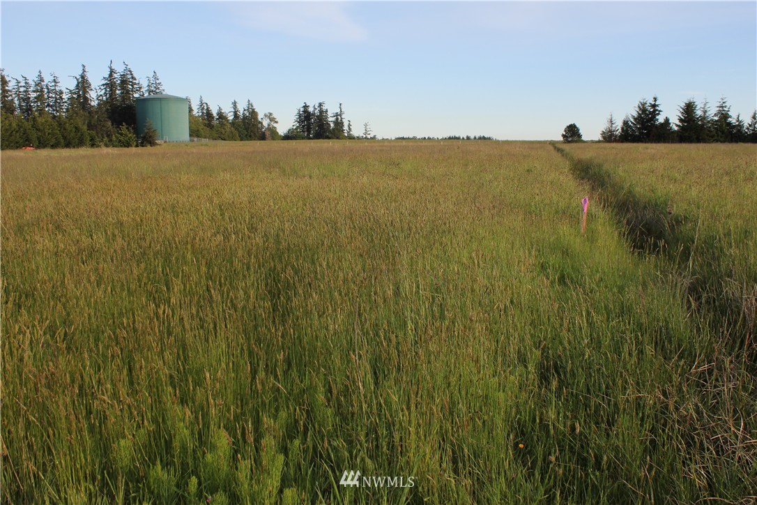 0 Windy Ridge Lane Bow, WA 98232 - Photo 5 of 14 Gallery Image 5
