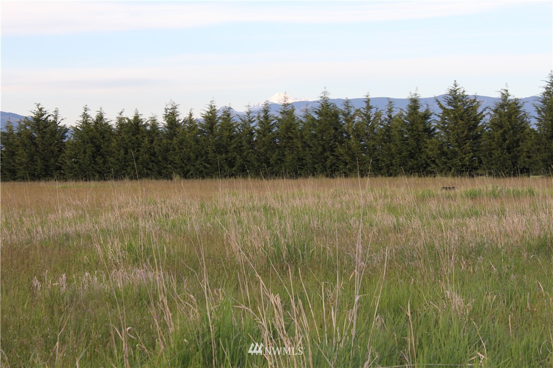 0 Windy Ridge Lane Bow, WA 98232 - Photo 9 of 14 Gallery Image 9