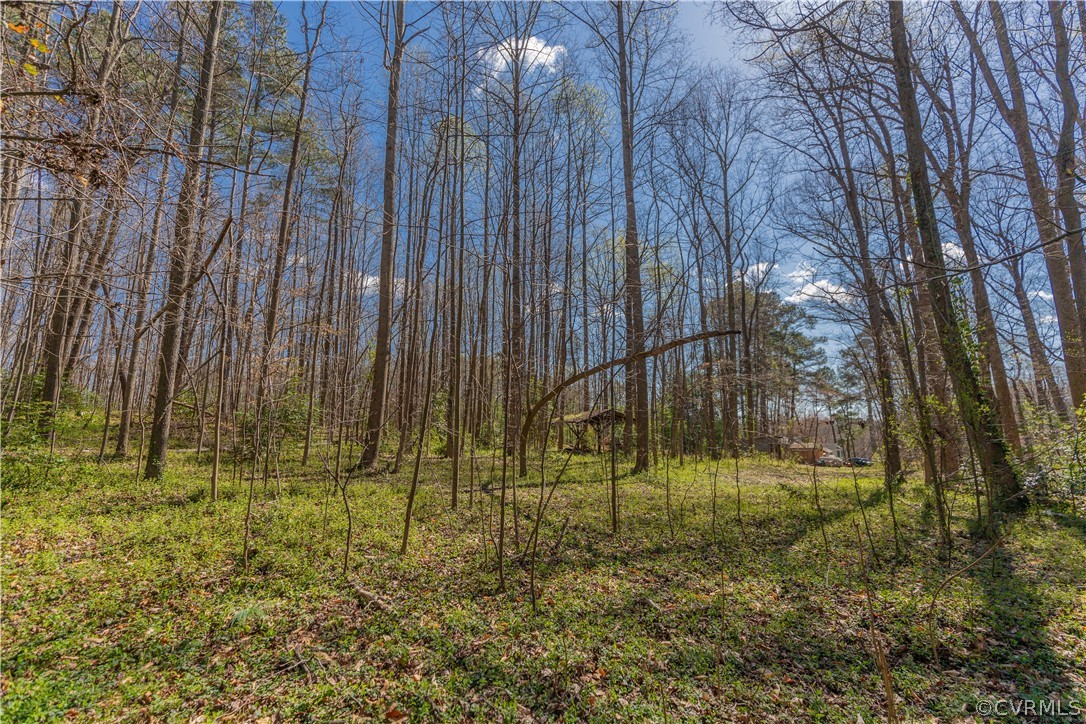 7589 Bell Creek Road Mechanicsville, VA 23111 - Photo 39 of 42