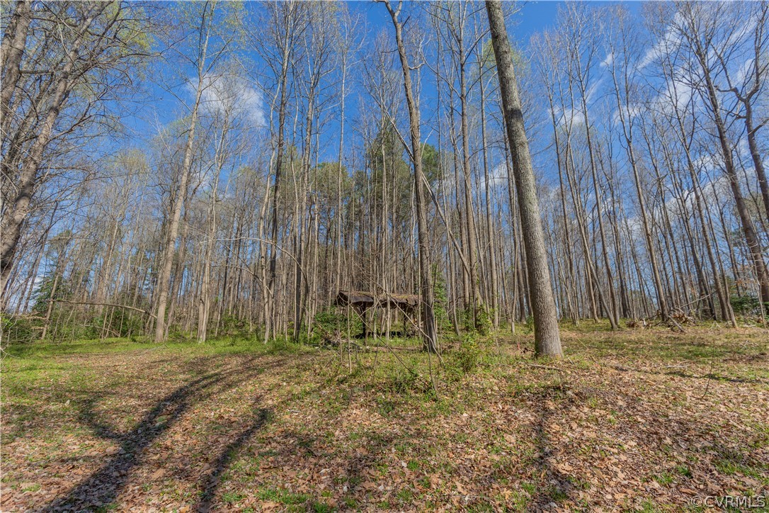 7589 Bell Creek Road Mechanicsville, VA 23111 - Photo 41 of 42