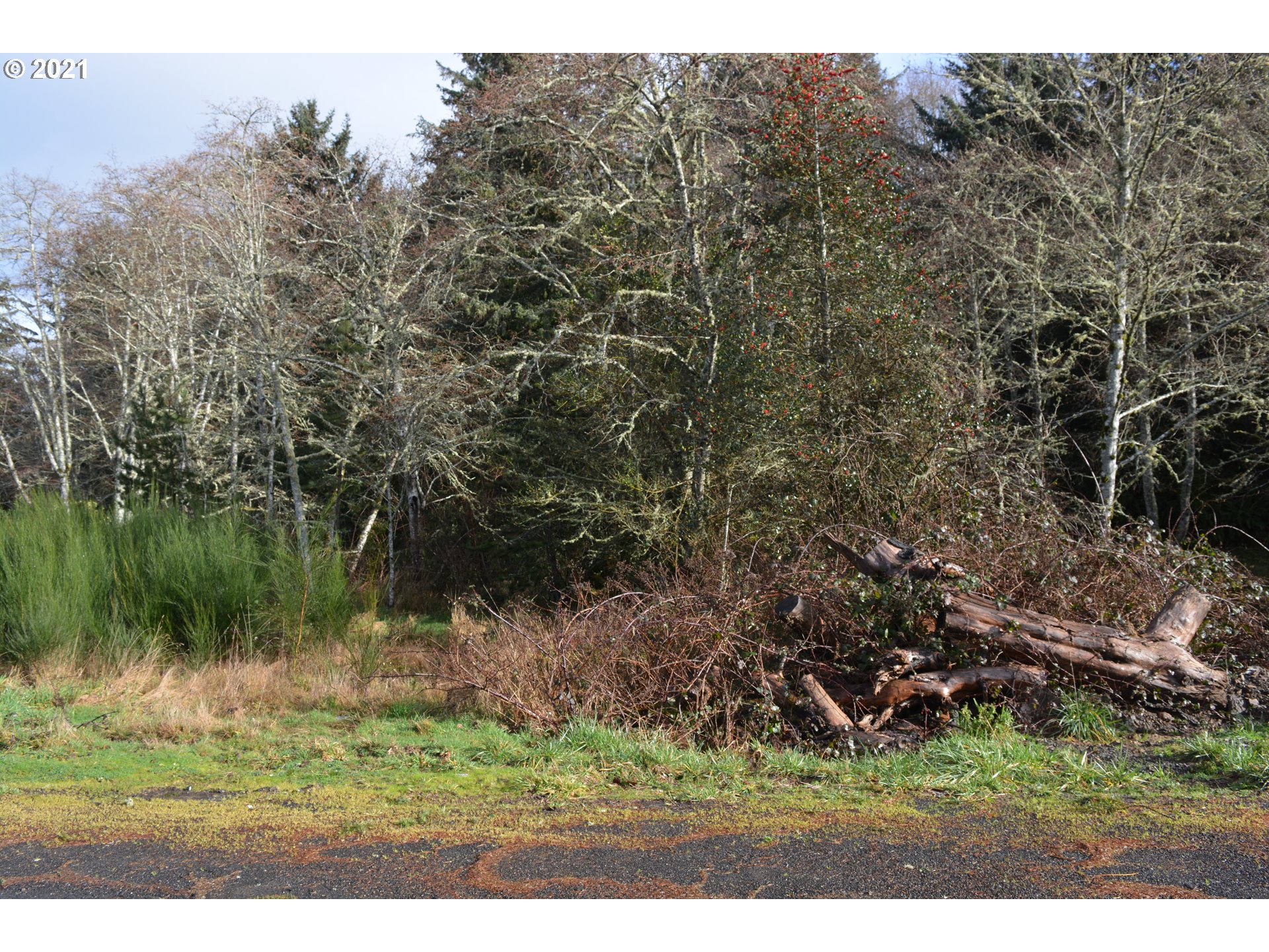 35787 Brooten Road Pacific City, OR 97135 - Photo 4 of 5 Gallery Image 4