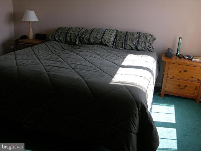 11101 Baskerville Road Reisterstown, MD 21136 - Photo 12 of 24 master