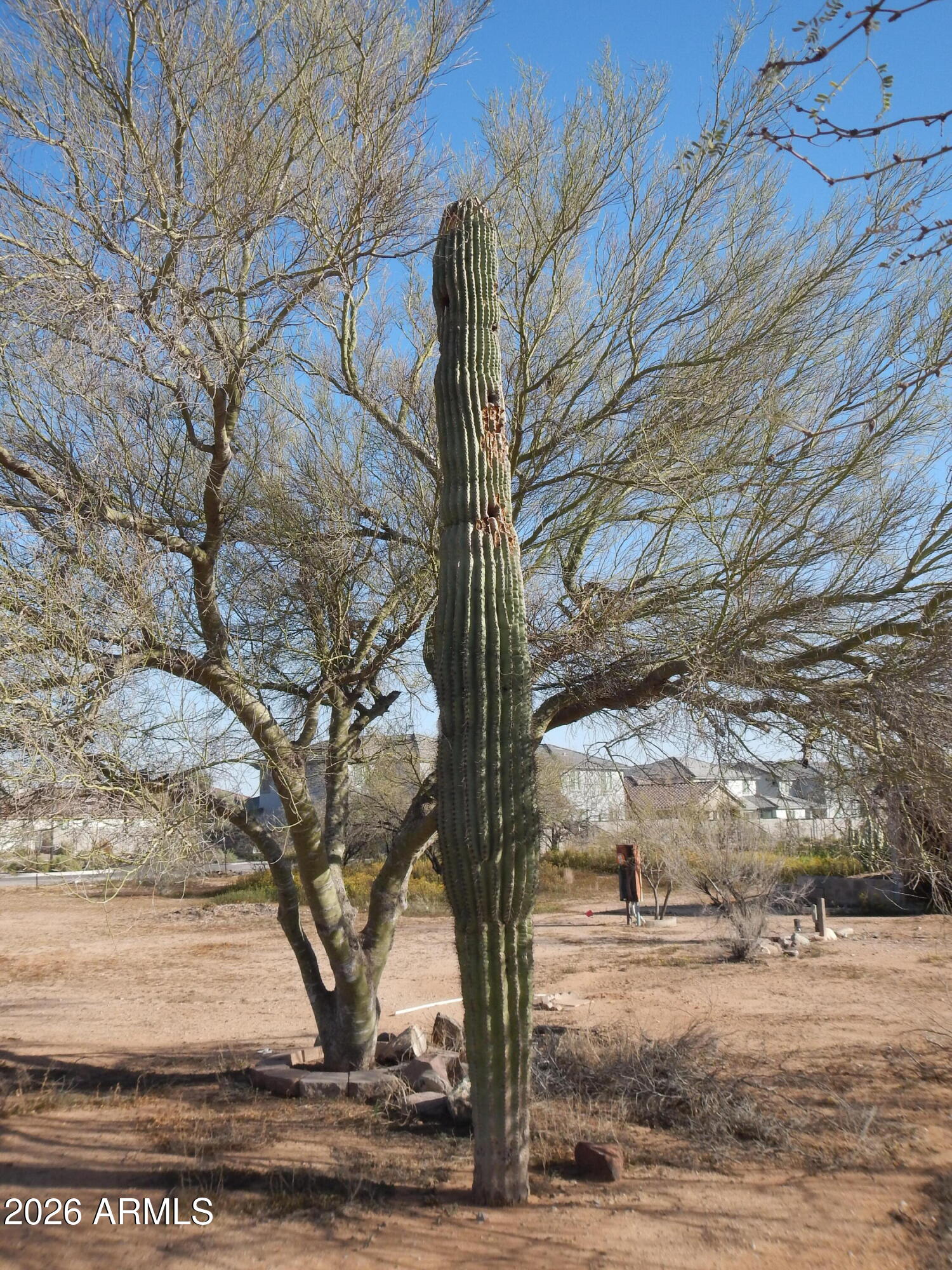 18525 West Pinnacle Peak Road Surprise, AZ 85387 - Photo 16 of 26 18525 W Pinnacle Peak RD
