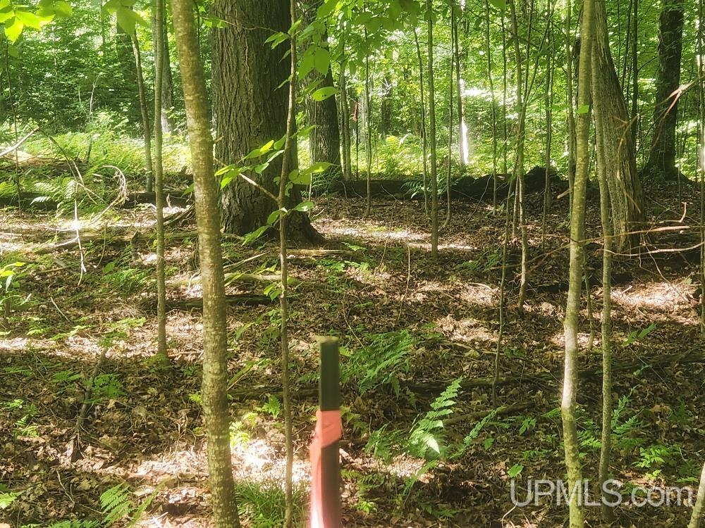 Tbd West Tamarack Lake Road, Unit LOT 5 Watersmeet, MI 49969 - Photo 19 of 66