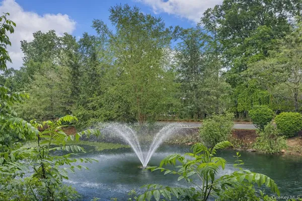 a view of a garden with plants