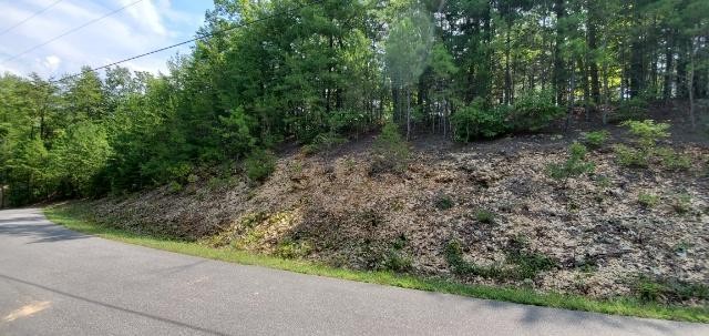 8 Bear Den Road Townsend, TN 37882 - Photo 3 of 5
