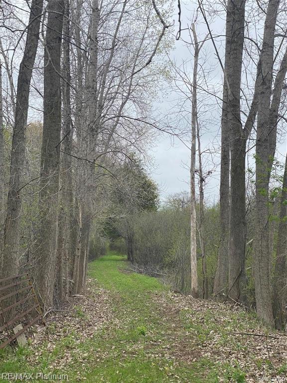0 Joey Drive Pinckney, MI 48169 - Photo 4 of 5