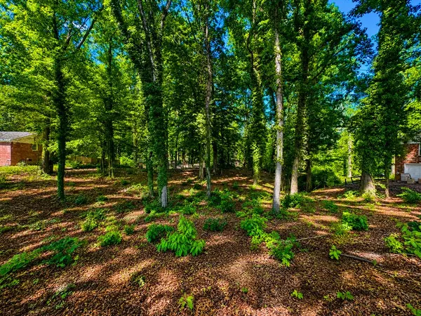 $20,000 | 418 Dogwood Drive, Greenwood, SC 29646