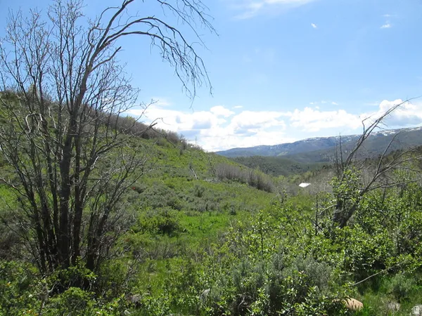$110,000 | 3258 North Water Cyn Avenue, Unit 679, Huntsville, UT 84317
