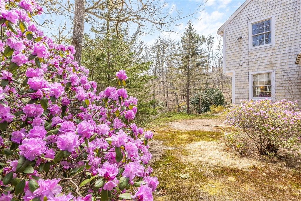 59 Valley Road Brewster, MA 02631 - Photo 32 of 42 a front view of house with yard