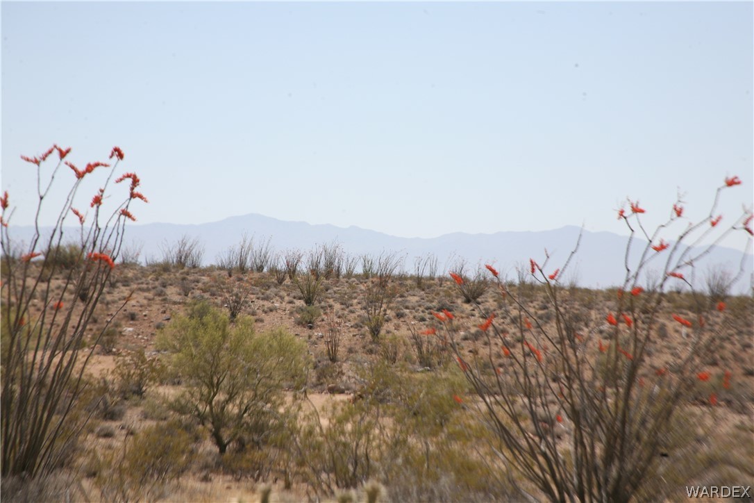 245-24-067a Lorton Road Yucca, AZ 86438 - Photo 16 of 42