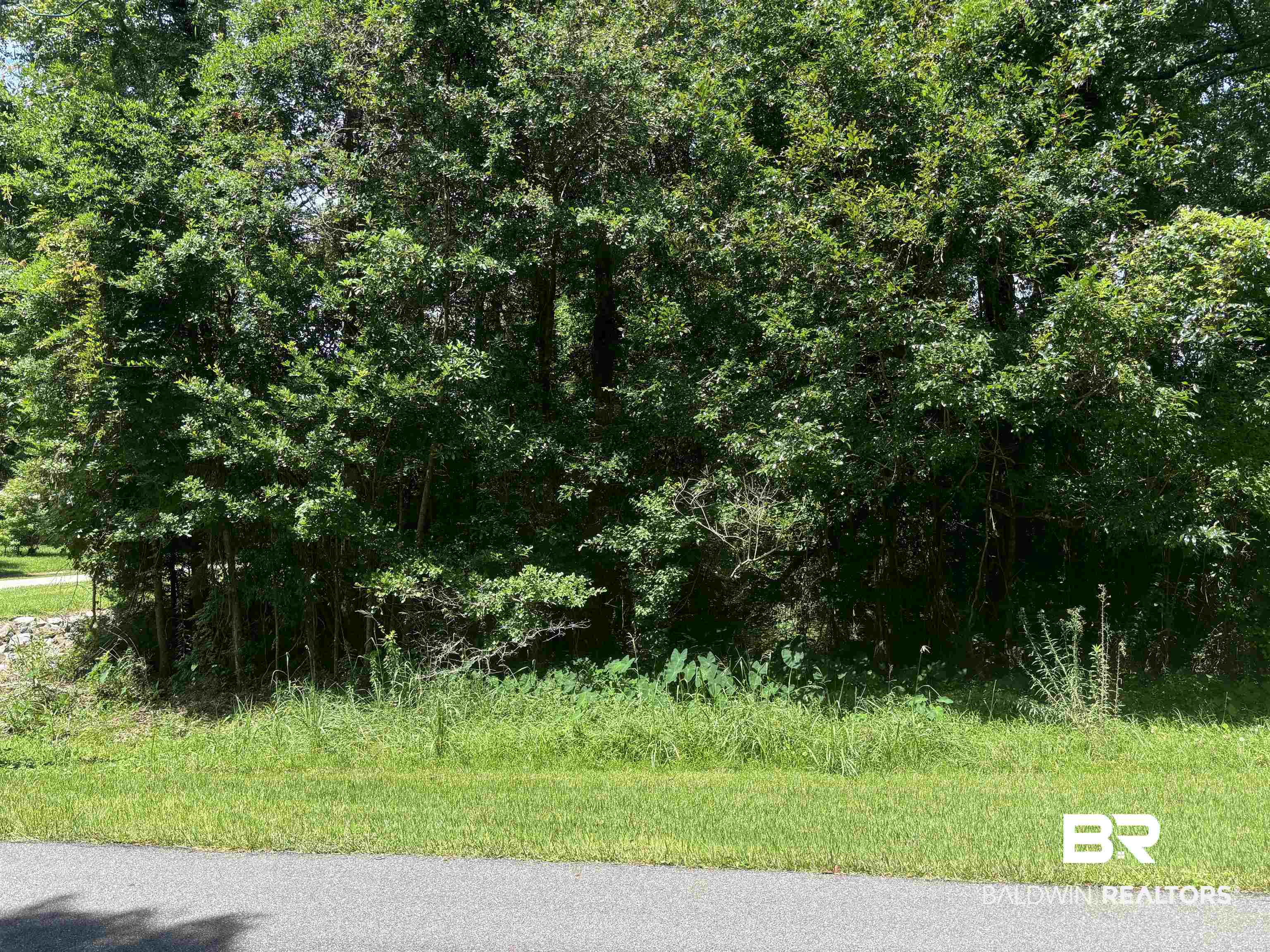 0 1st Avenue Silverhill, AL 36576 - Photo 1 of 5 View of local wilderness