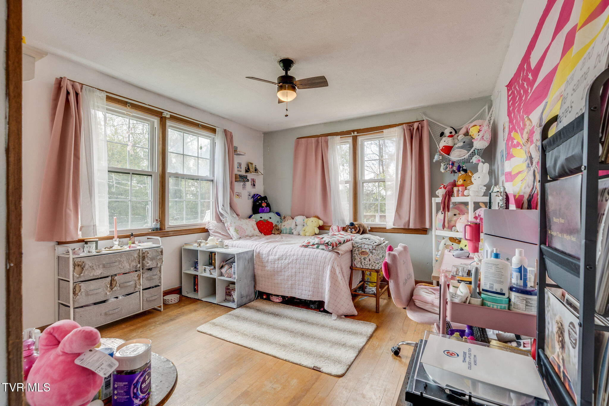 111 Old Stage Road Surgoinsville, TN 37873 - Photo 15 of 25 015