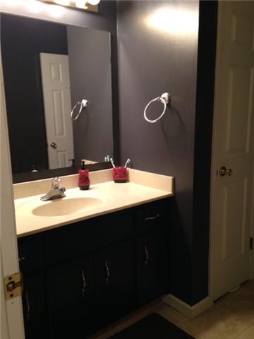 954 Riley Creek Road Tullahoma, TN 37388 - Photo 13 of 16 Guest Bath with fresh paint