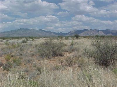 159 East Diamondback Road St. David, AZ 85630 - Photo 1 of 4