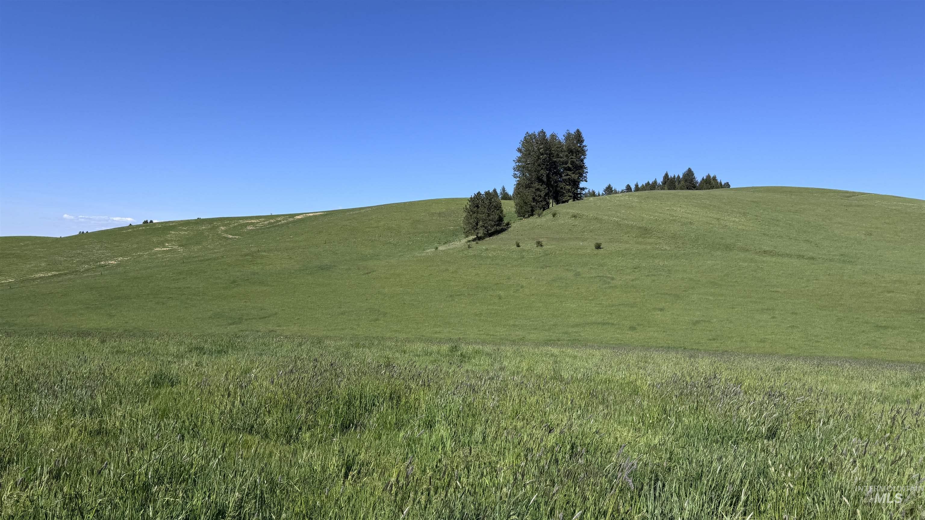 Tbd Harrisburg Road Kamiah, ID 83536 - Photo 2 of 50