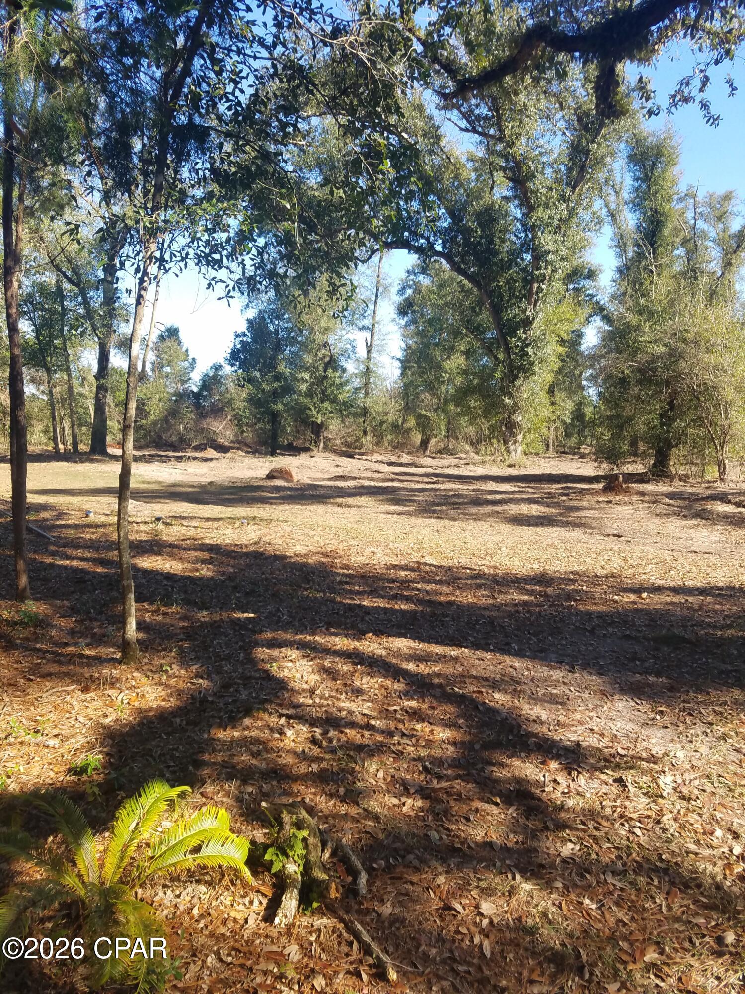 0 Ditty Road Bascom, FL 32423 - Photo 14 of 34