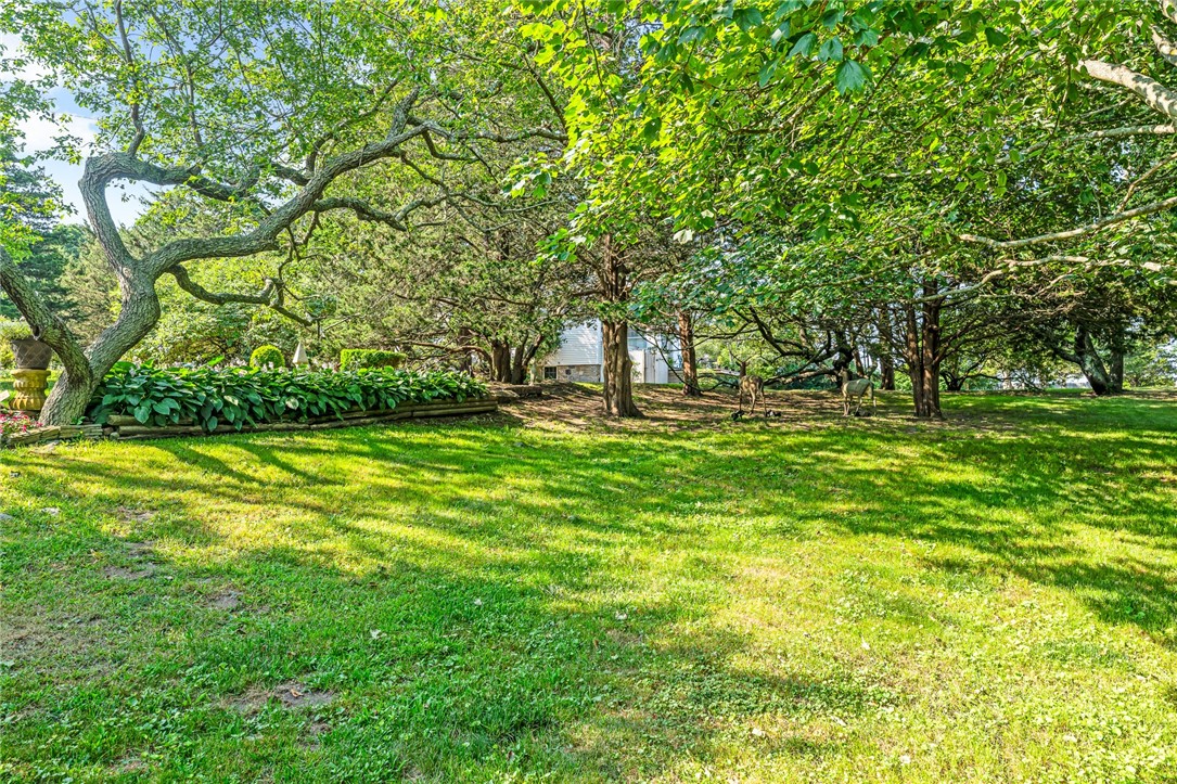 6 Chapel Lane Westerly, RI 02891 - Photo 24 of 46 2.6 acres in a park like setting.