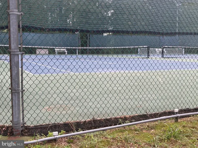 a view of a backyard with large trees