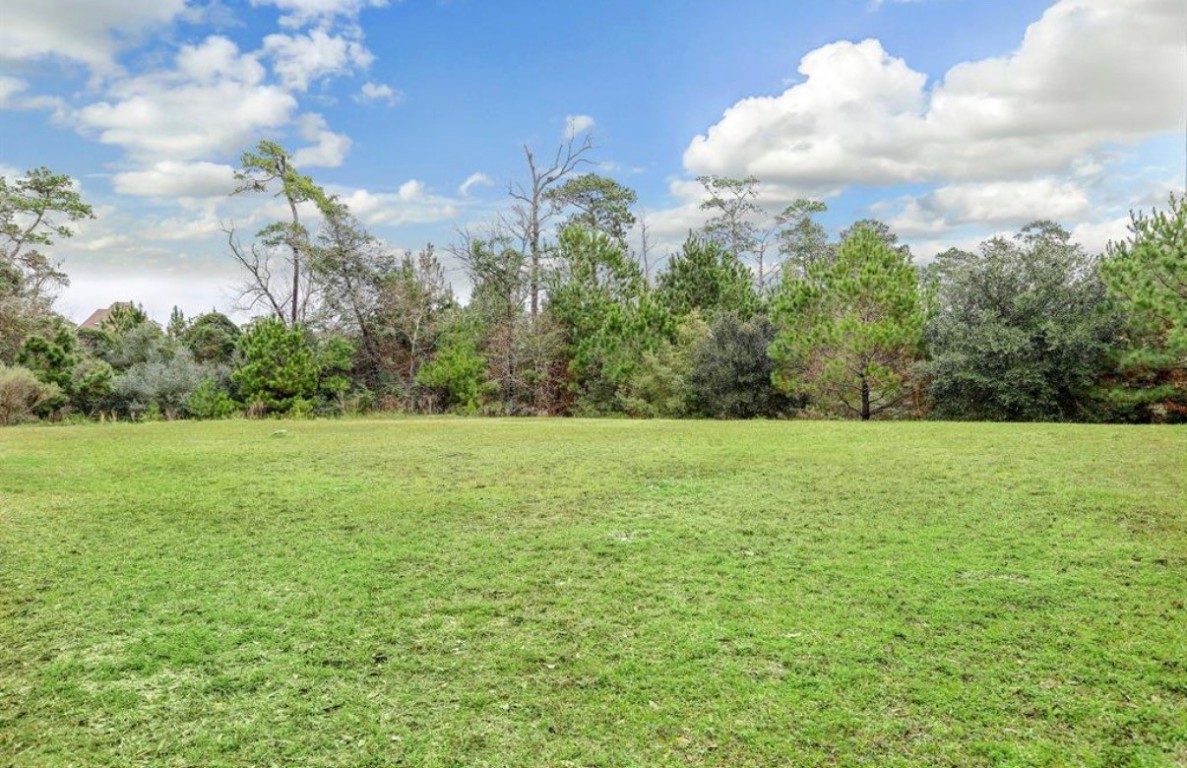 1214 Welland Way Houston, TX 77339 - Photo 2 of 2 a view of a yard