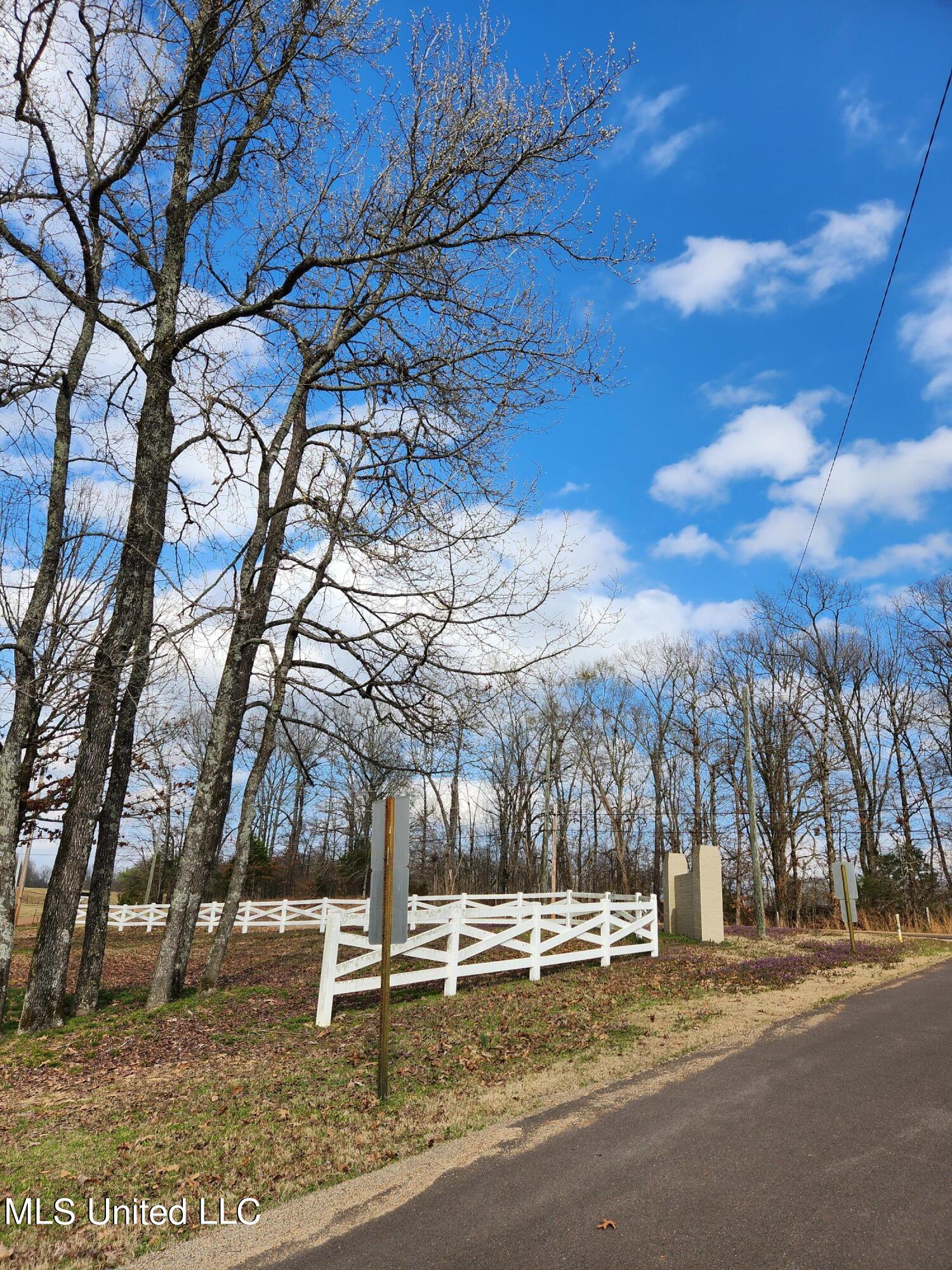 1750 Ready Drive Hernando, MS 38632 - Photo 2 of 114 20240303_144327