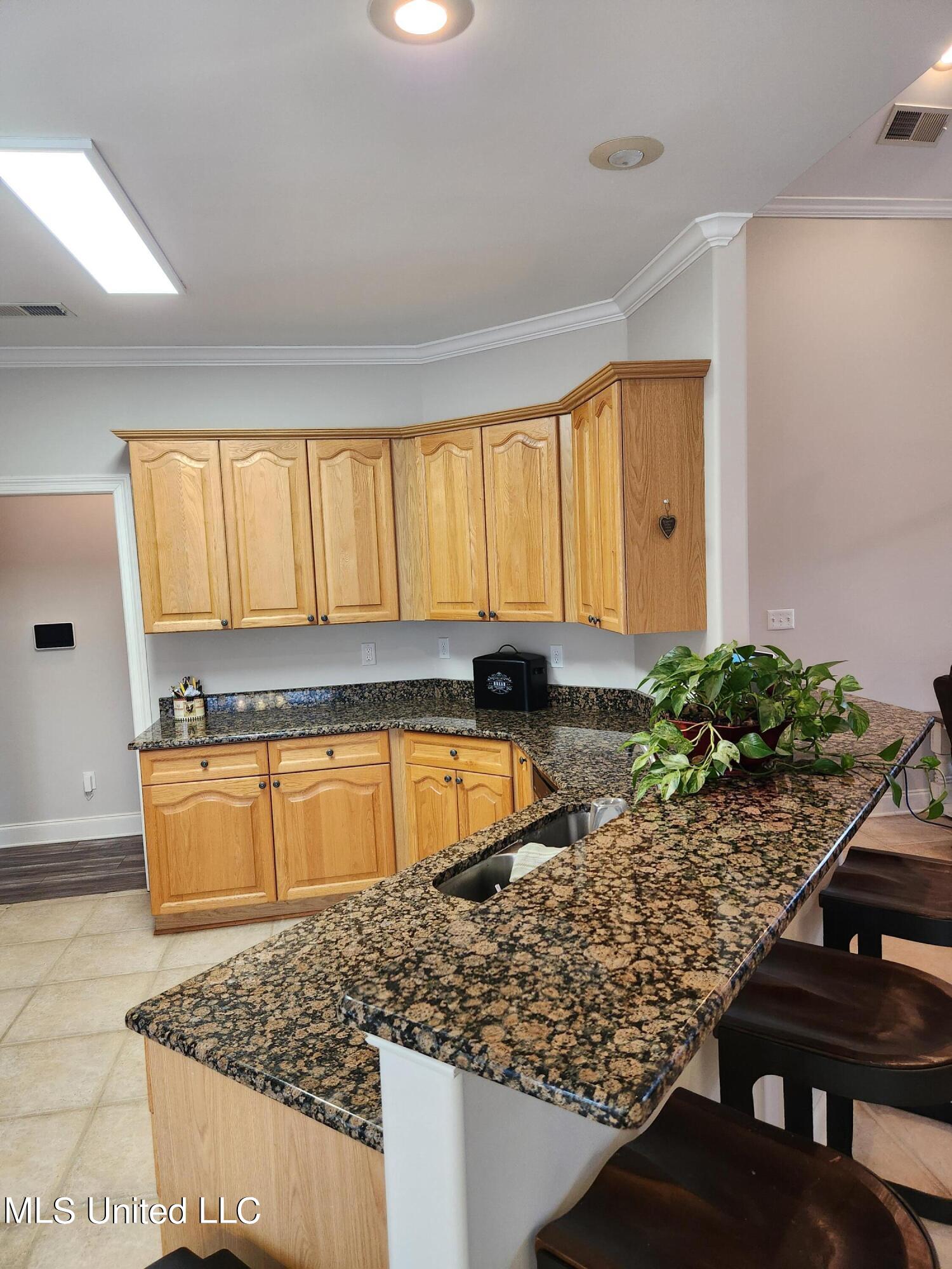 1750 Ready Drive Hernando, MS 38632 - Photo 24 of 114 20240301_132731