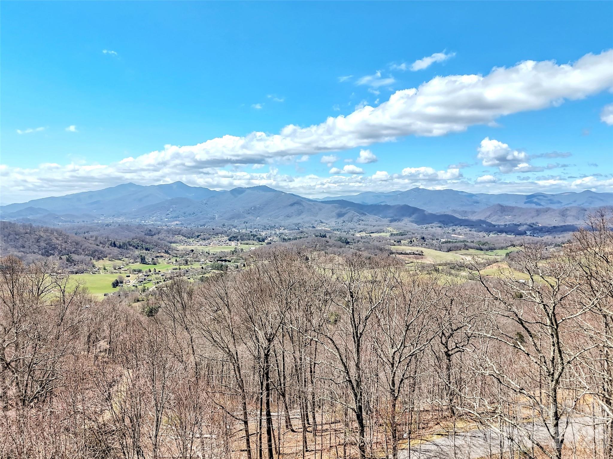 523 Brandywine Road Waynesville, NC 28786 - Photo 45 of 46