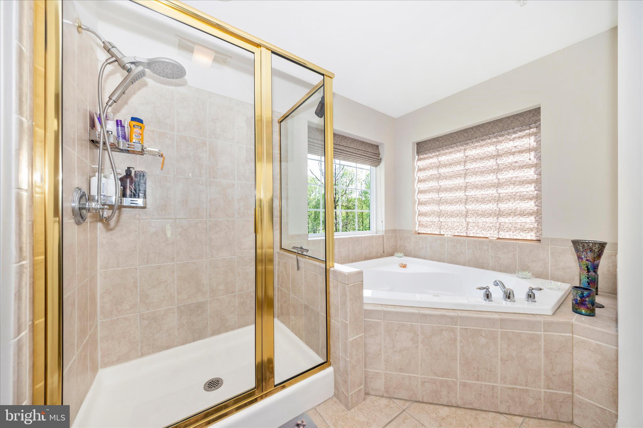 4750 Mt Zion Road Frederick, MD 21703 - Photo 20 of 54 Primary Bathroom w/shower and large soaking tub